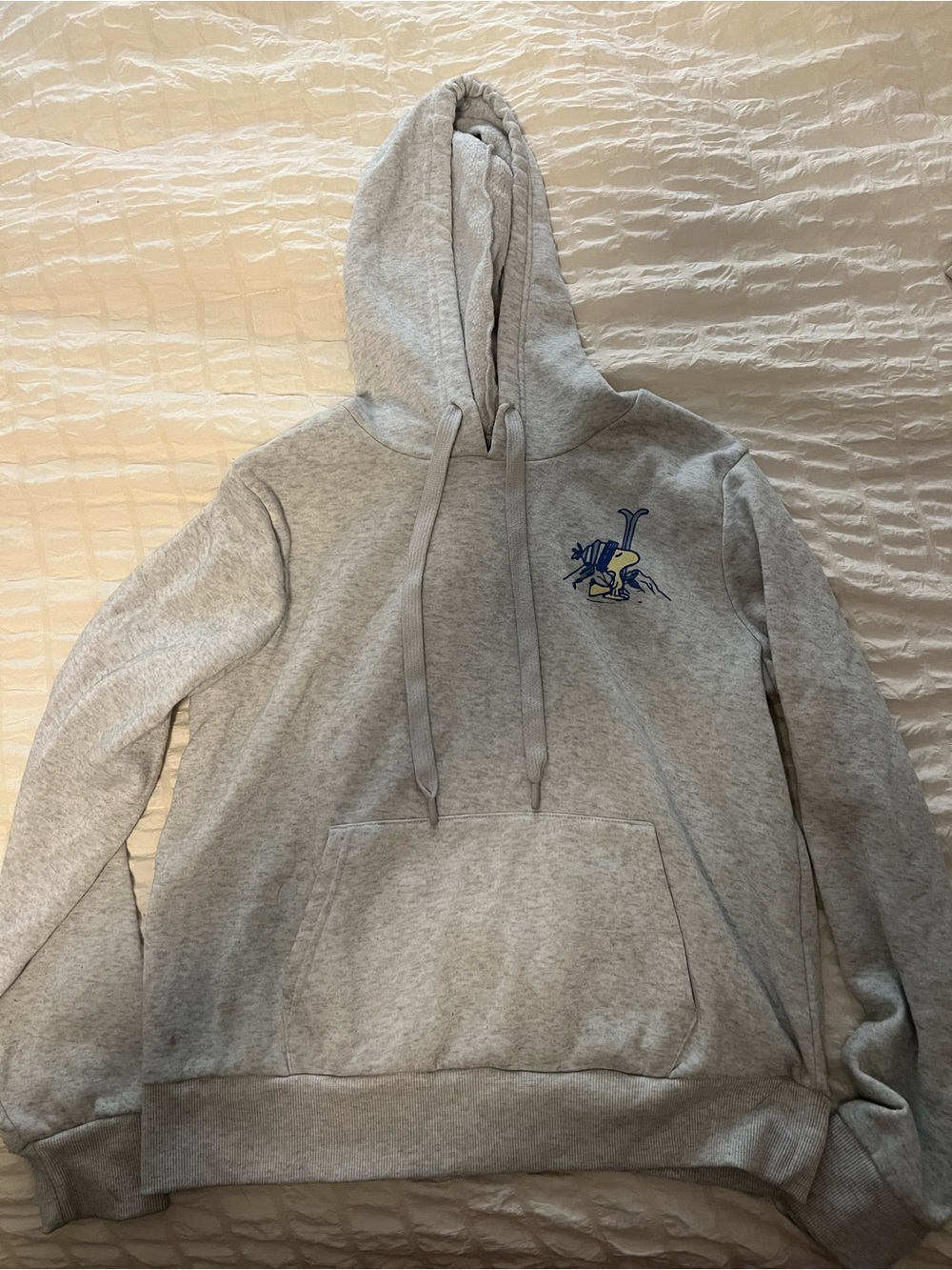 PEANUTS SNOOPY WOODSTOCK Pullover Fleece Hoodie MD Gray Apres Ski Club Jacket
